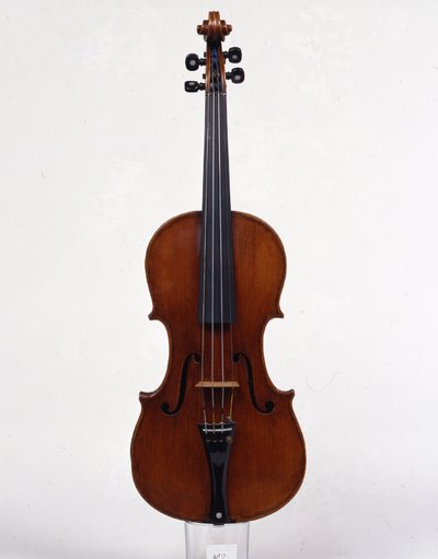 violino