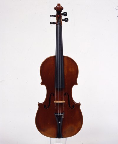 violino