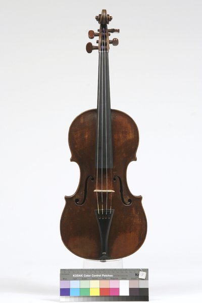 violino