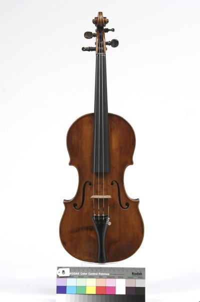 violino