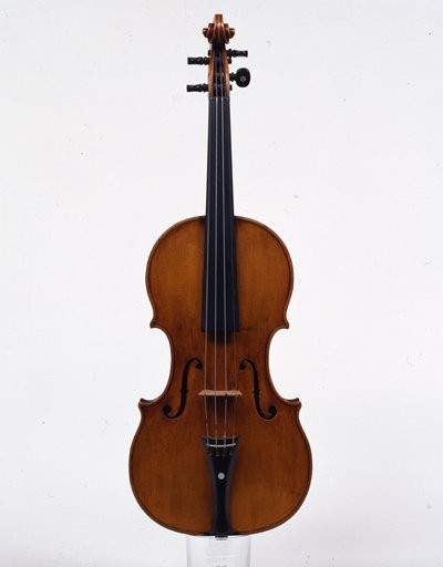 violino
