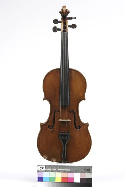 violino