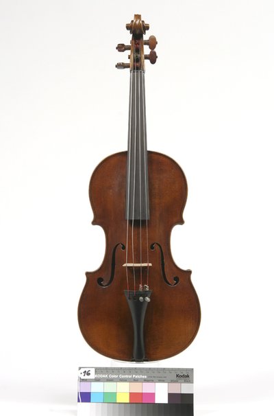 viola