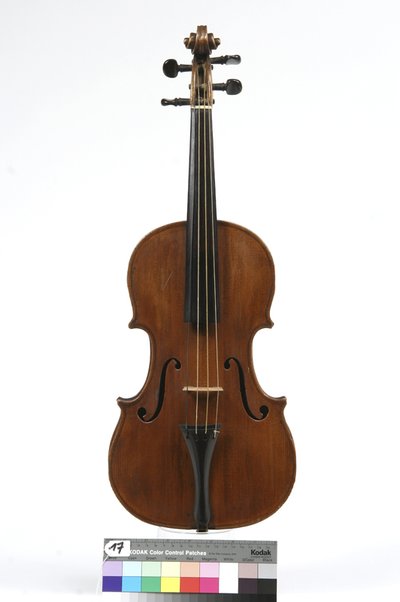 viola