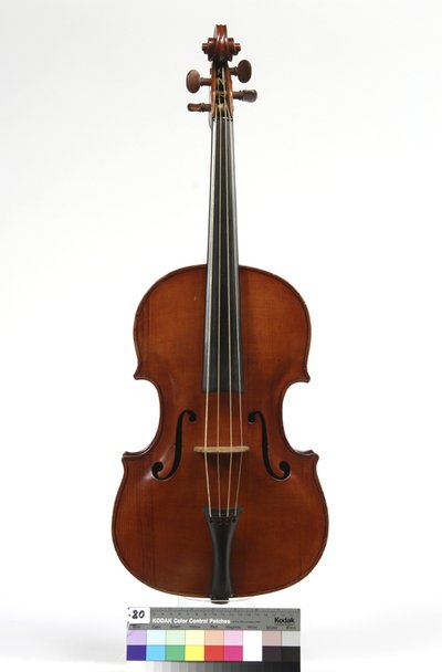 viola, bassa