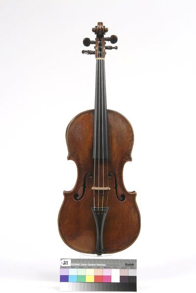 viola
