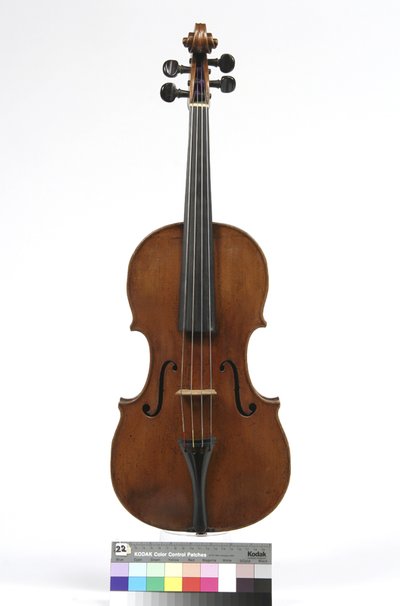 viola