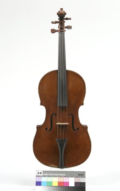 viola
