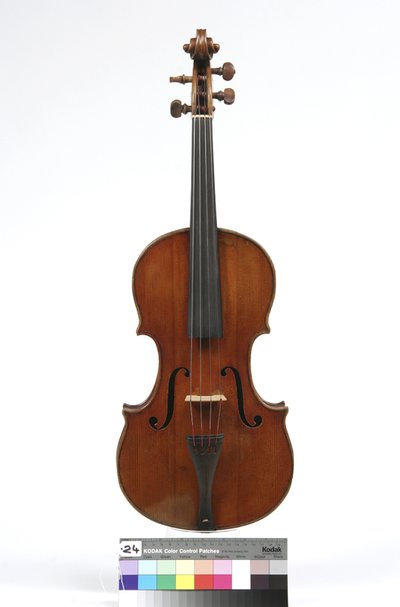 viola