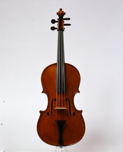 viola
