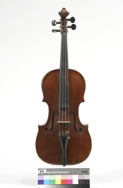 viola