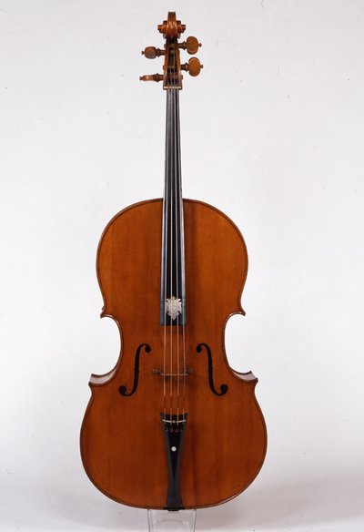 violoncello