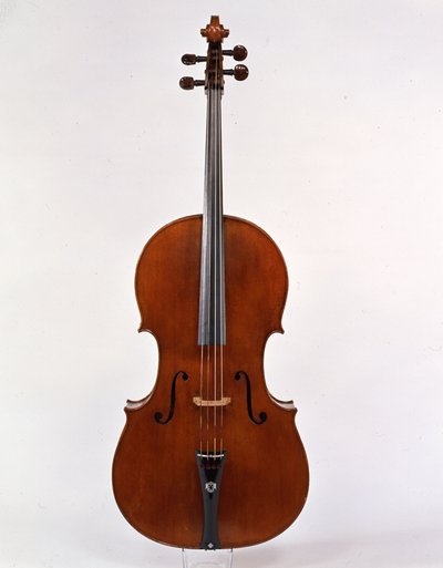violoncello