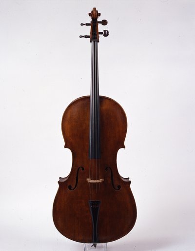 violoncello