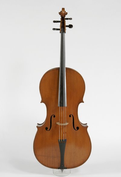 violoncello