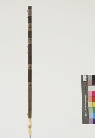 tibia, pompeiana