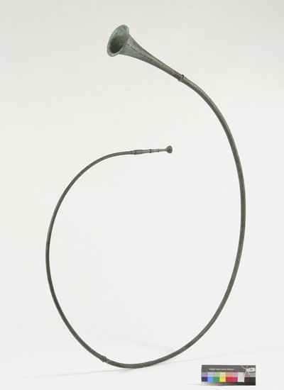 tuba curva