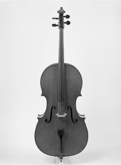 violoncello