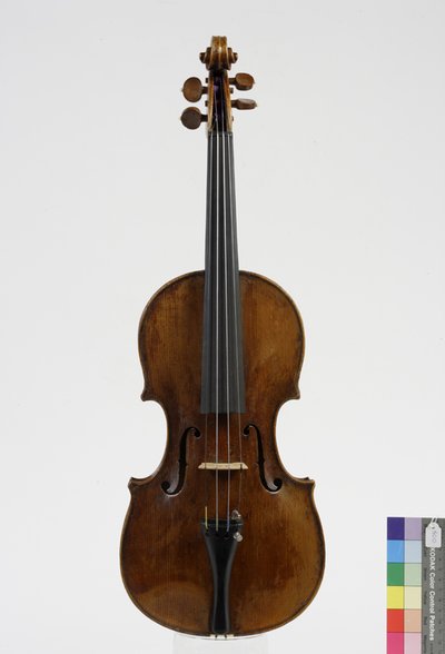 violino