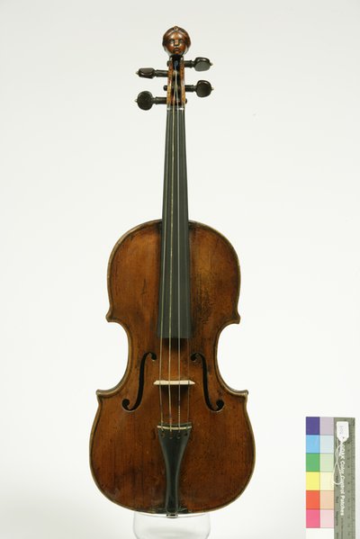violino