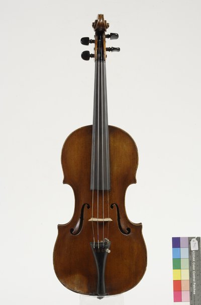 violino