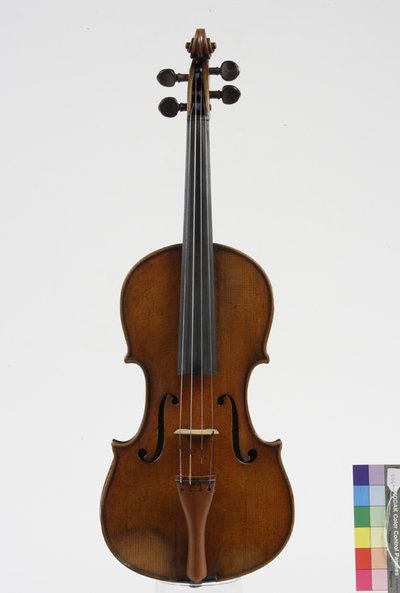 violino