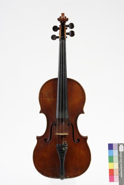 violino