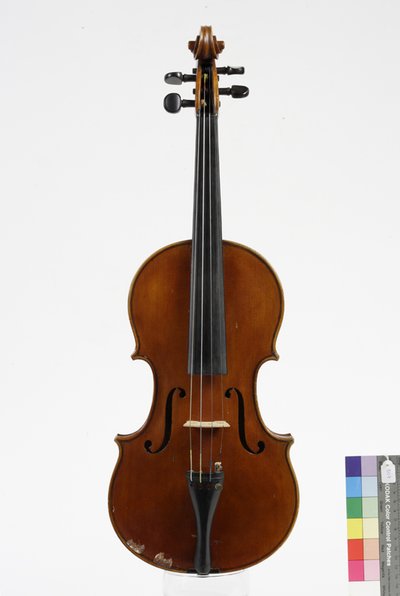 violino