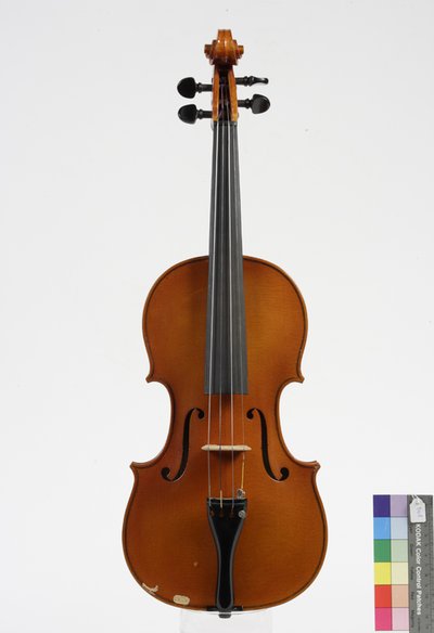 violino