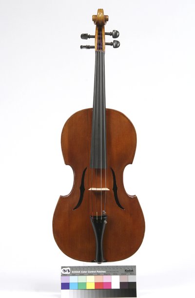 viola