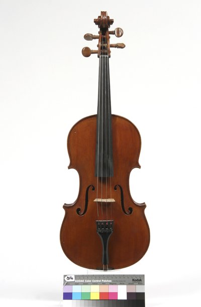 viola