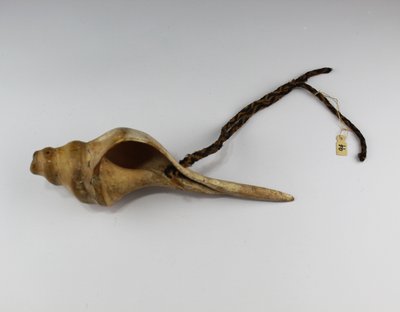 Caracol trompeta “Mochica”