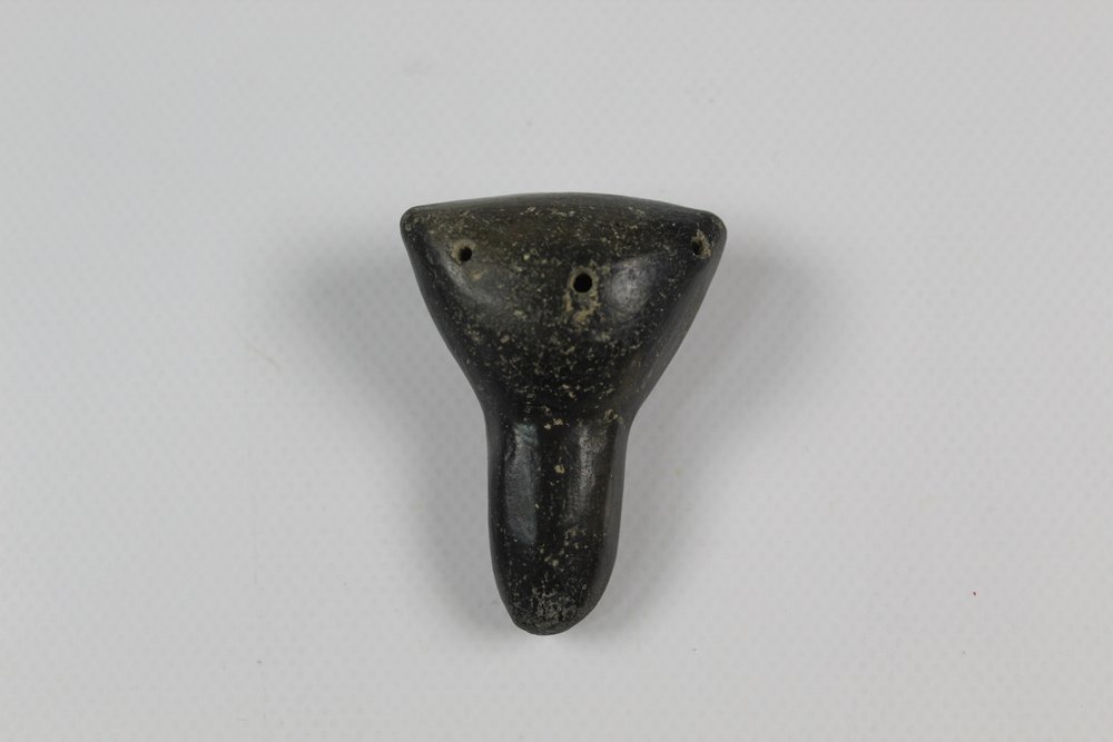 Instrument image
