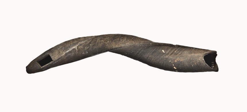 Instrument image