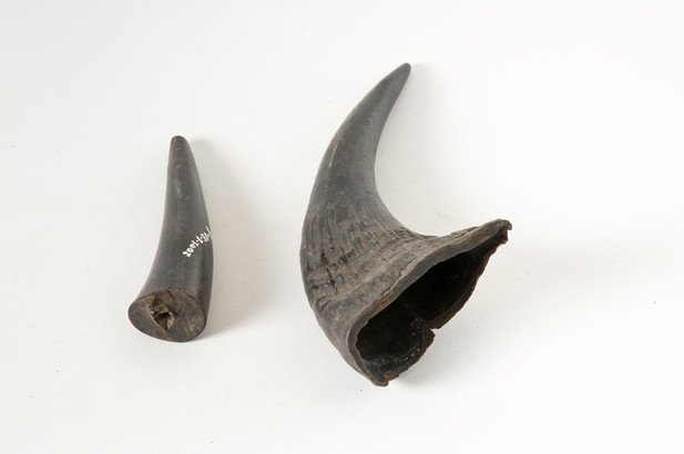 Instrument image