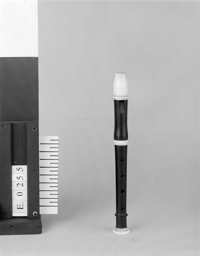 Flageolet en la