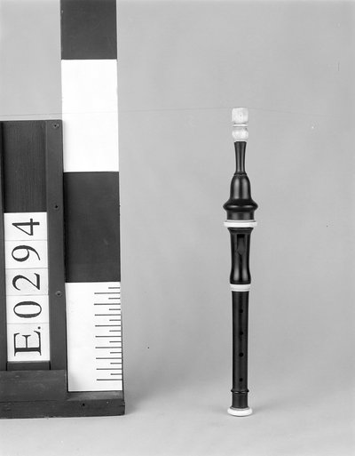 Flageolet à pompe