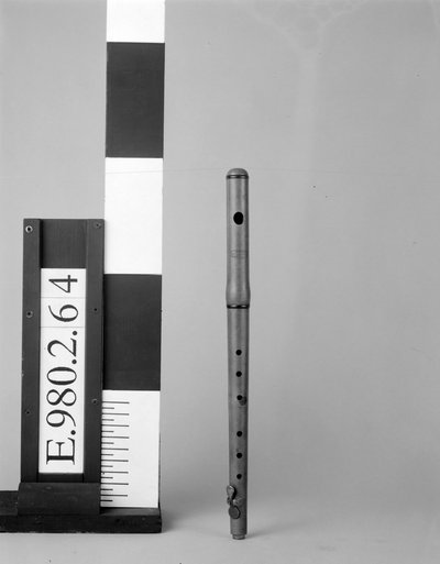 Flûte traversière piccolo