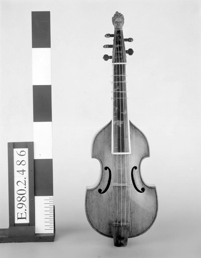 Quinton de viole