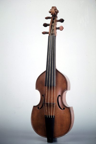 Quinton de viole