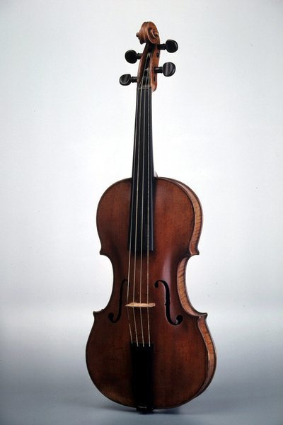 Violon
