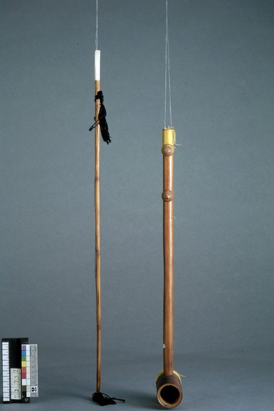 Vièle "erhu"