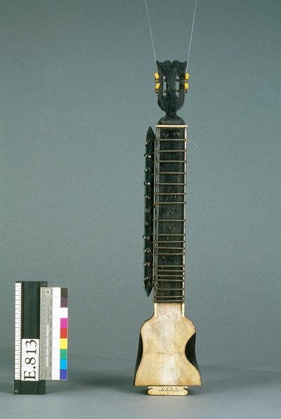 Vièle "dilruba"