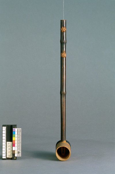 Vièle type "erhu"