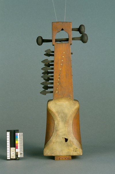 Vièle "sarangi"