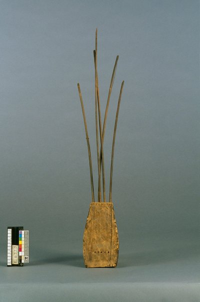 Pluriarc