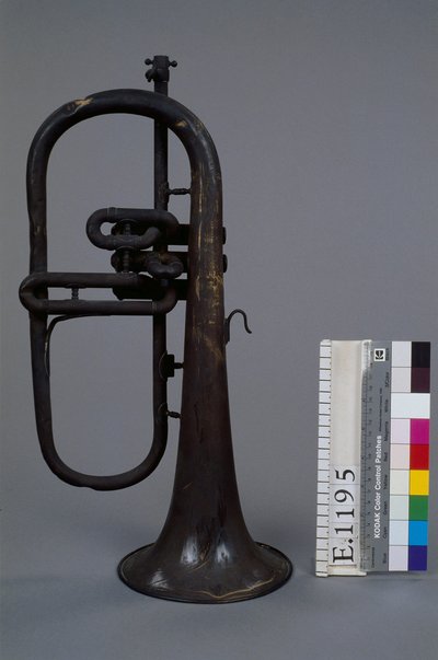 Bugle