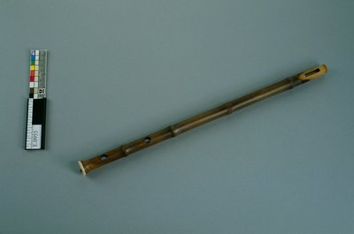 Manche de vièle "jinghu"