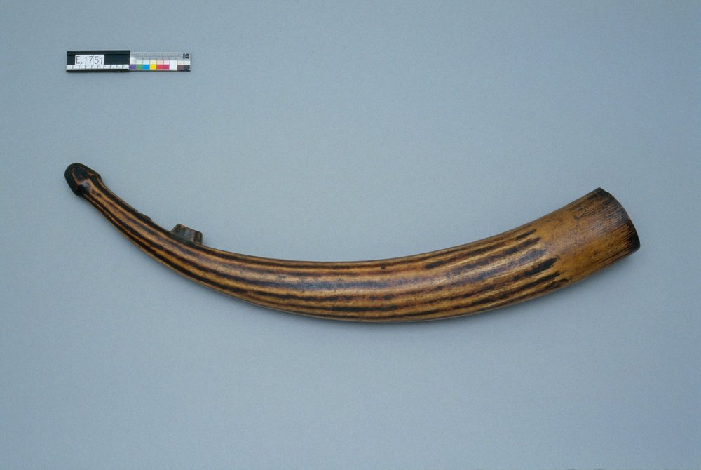 Instrument image