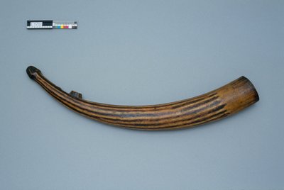 Trompe "oliphant"